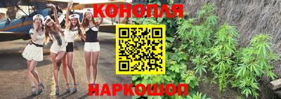 круглые Будённовск