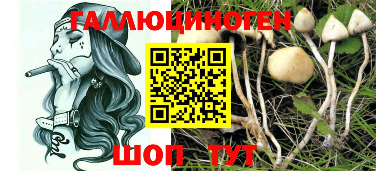 Псилоцибиновые грибы GOLDEN TEACHER  Галлюциногенные грибы GOLDEN TEACHER  Пыть-Ях  наркота  Вход с VPN 